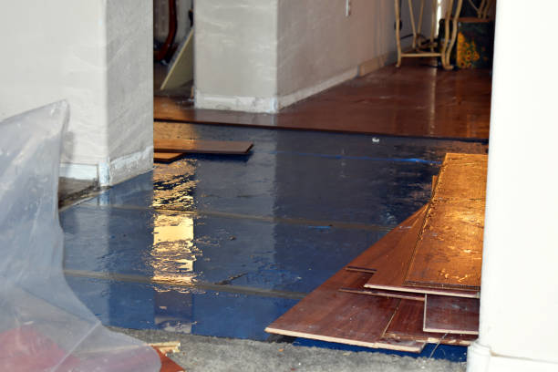 Professional Flood Damage Repair technician working in Brownton, MN